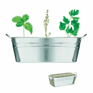 Cynkowa wanienka z nasionami MIX SEEDS