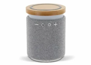Bamboo wireless speaker