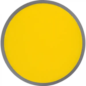 Gra frisbee